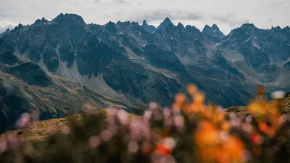 Bergpanorama mit unscharfen Blumen im Vordergrund unter bewölktem Himmel