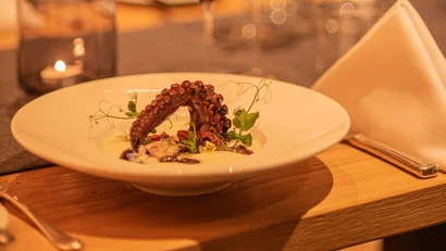 Gourmet octopus dish with red wine in elegant restaurant setting