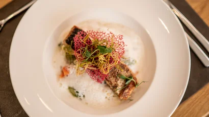 Elegantes Fischgericht mit Schaum und Garnitur auf weißem Teller