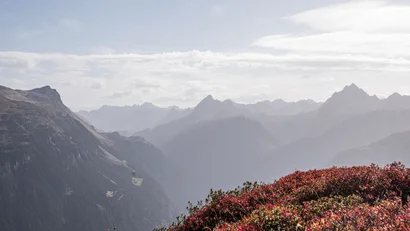 Bergpanorama mit roten Sträuchern im Vordergrund