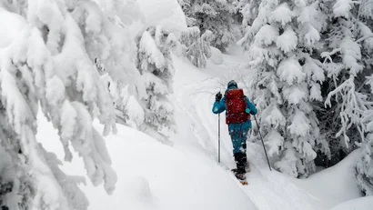 Person wandert mit Schneeschuhen durch schneebedeckten Winterwald